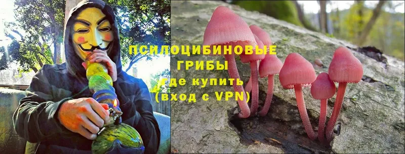 Галлюциногенные грибы Magic Shrooms  Балабаново 